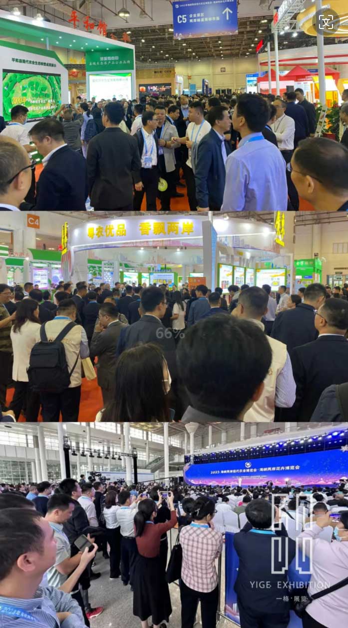 一格新作 | 安徽展臺(tái)亮相2023海峽兩岸現(xiàn)代農(nóng)業(yè)博覽會(huì)·海峽兩岸花卉博覽會(huì)！